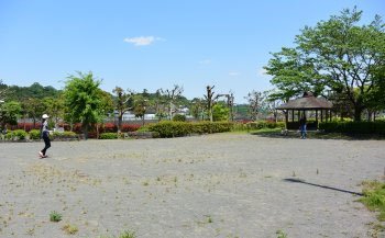 田代運動公園キャンプ場 広場