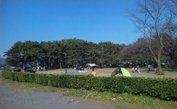 キャンプ場のテントサイト