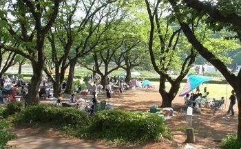 上大島キャンプ場