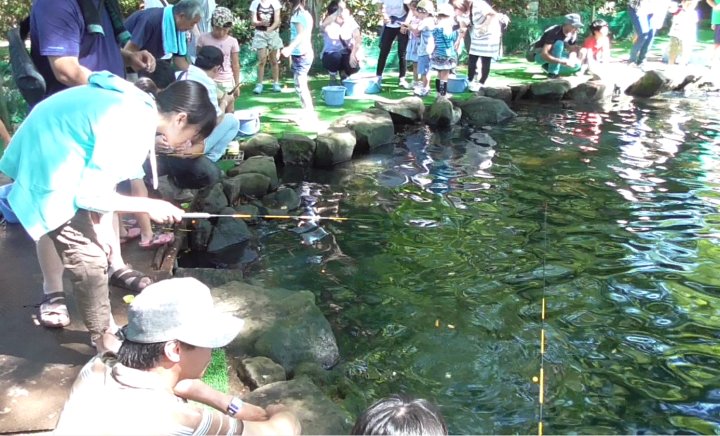 清水公園キャンプ場